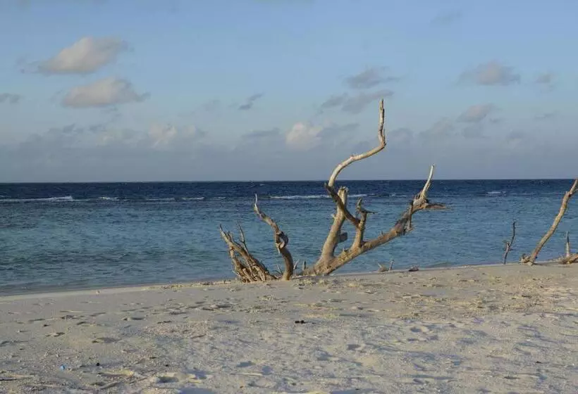 پانسیون Noomuraka Inn