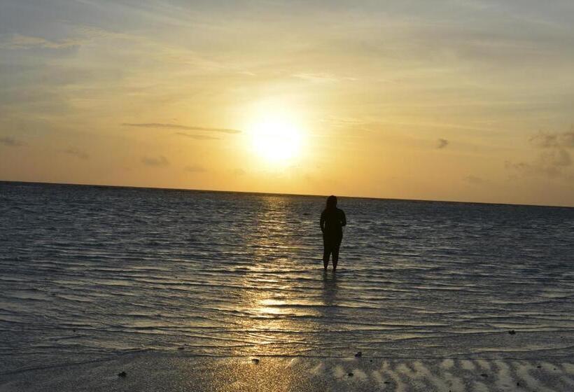 Pensjonat Noomuraka Inn