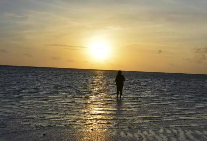 پانسیون Noomuraka Inn