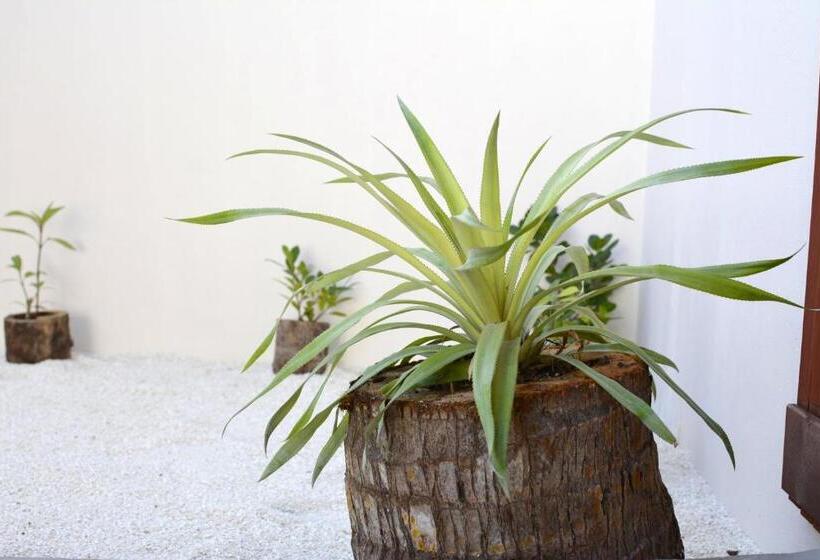 Pensjonat Noomuraka Inn