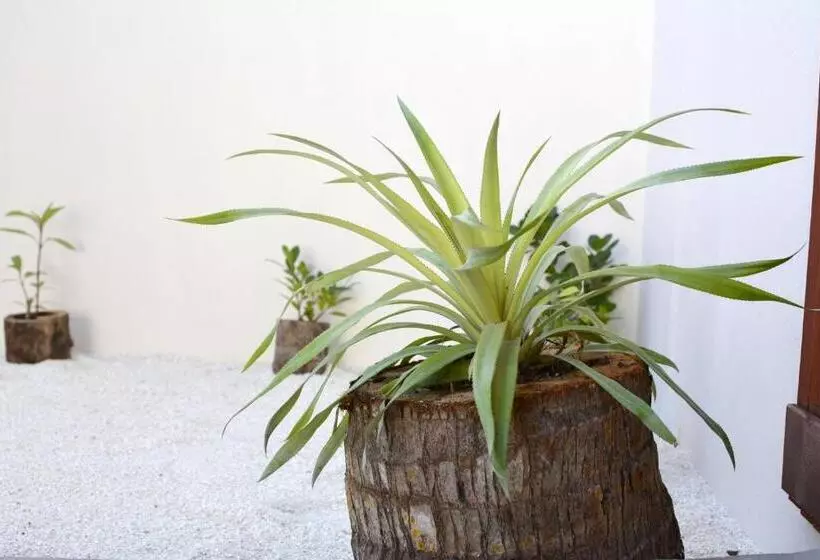 پانسیون Noomuraka Inn