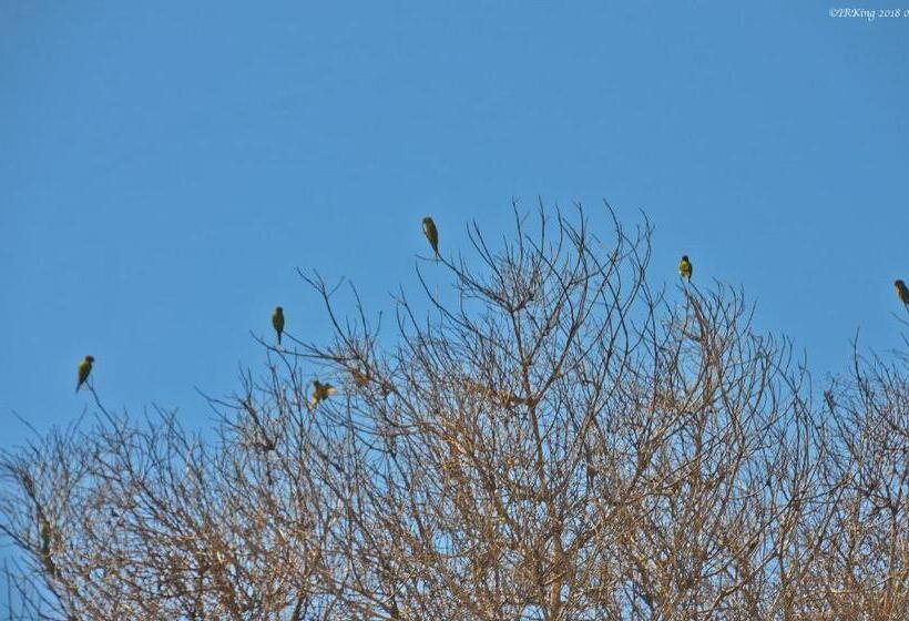 펜션 Pousada Lakshmi