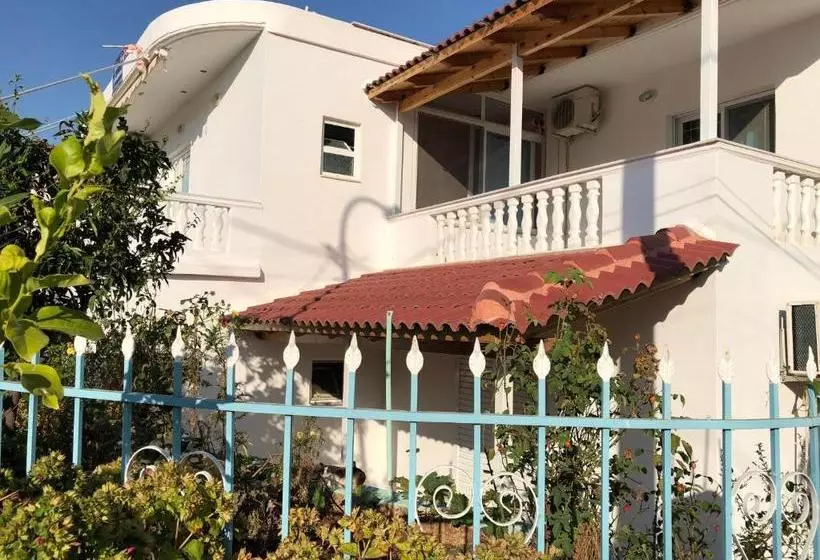پانسیون Villa Elvis Caca