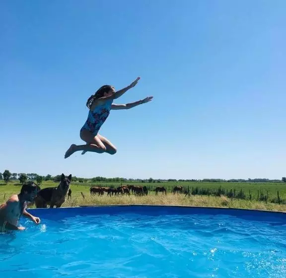 Majatalo Hostel De Campo La Providencia