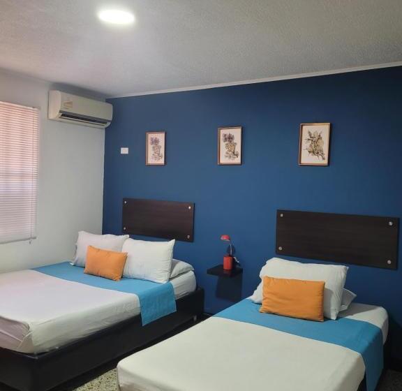הוסטל Costana   Hostal