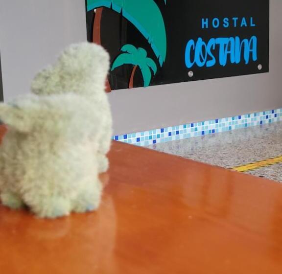 הוסטל Costana   Hostal