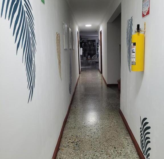 הוסטל Costana   Hostal