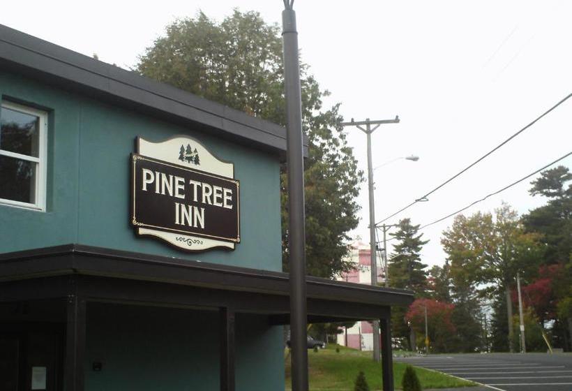 הוסטל Pine Tree Inn