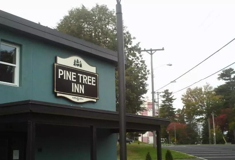 ユースホステル Pine Tree Inn
