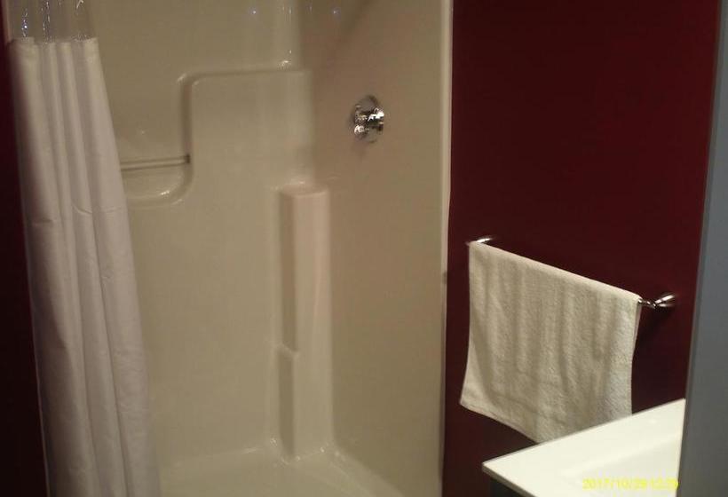 הוסטל Pine Tree Inn