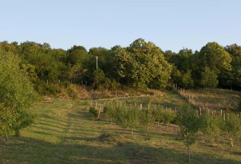 ペンション édenkert Vendégházak