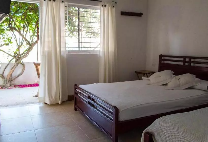 Majatalo Hostal Del Mar   Tolu