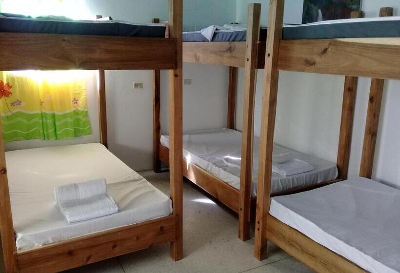 پانسیون Hostel Quintonido