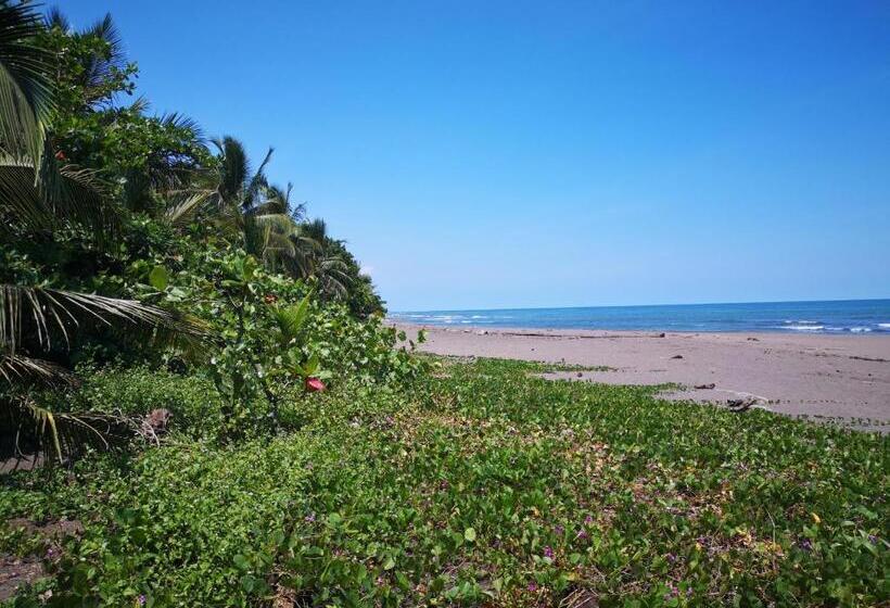 Apartahotel & Gym Rondon