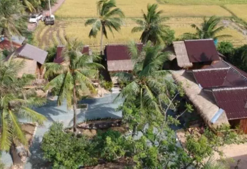 پانسیون Fish Island Bungalows