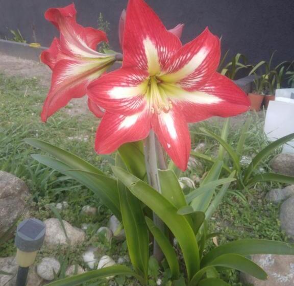 پانسیون Hostel El Refugio De Las Aves