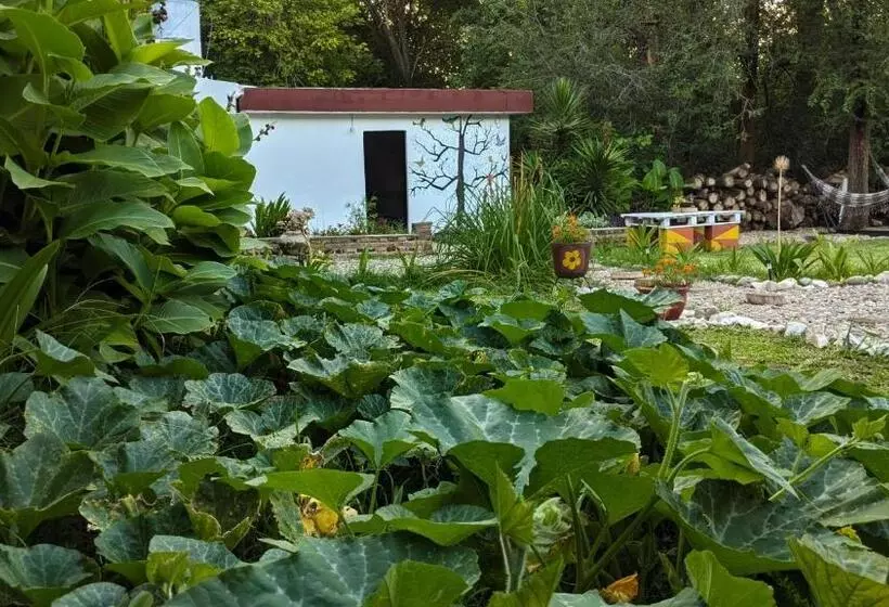ペンション Hostel El Refugio De Las Aves