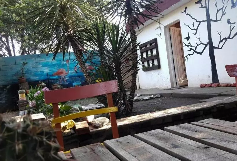 ペンション Hostel El Refugio De Las Aves