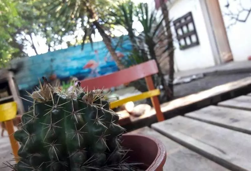 ペンション Hostel El Refugio De Las Aves