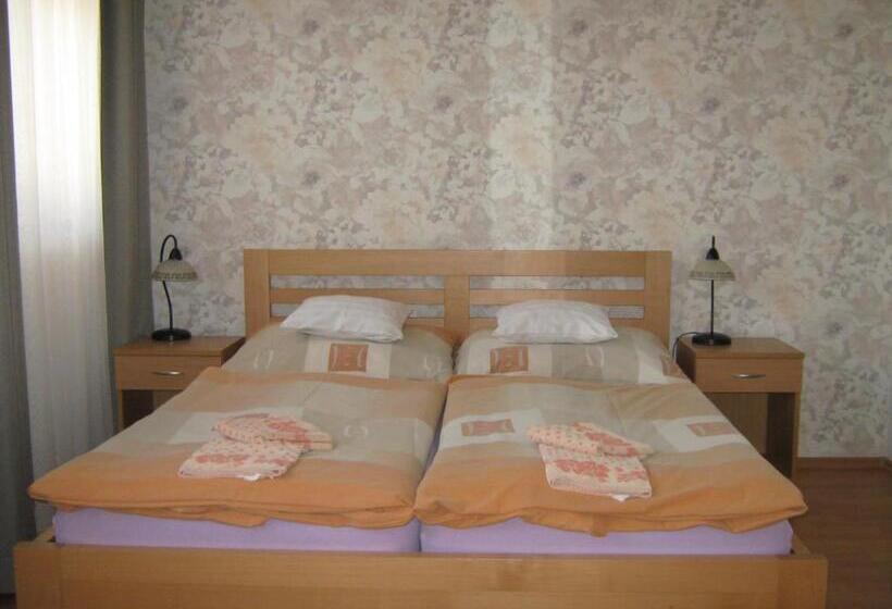 ペンション Penzion U Radnice