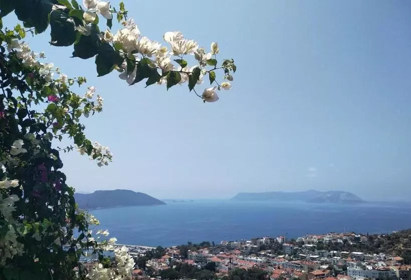 Best Apart Hotel Kaş