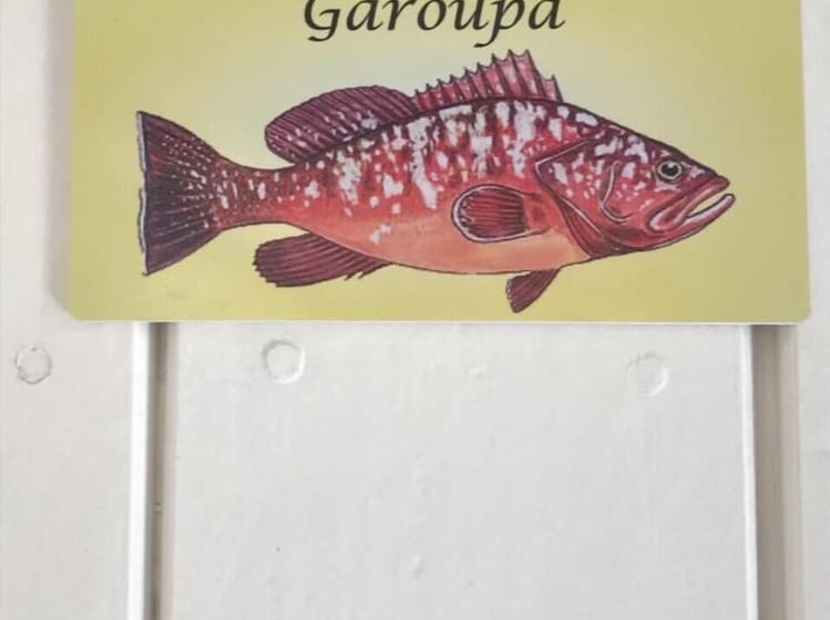 Pension Aquarius Osteria