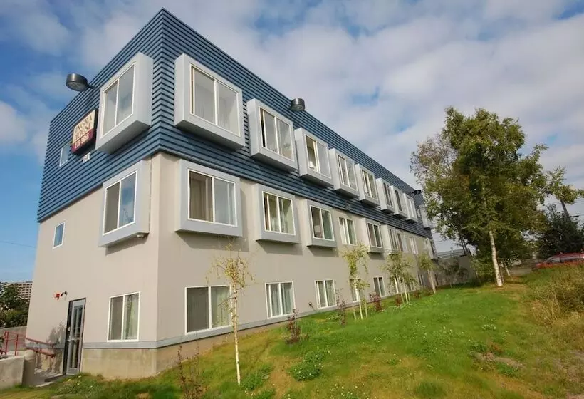 هاستل Ingra House
