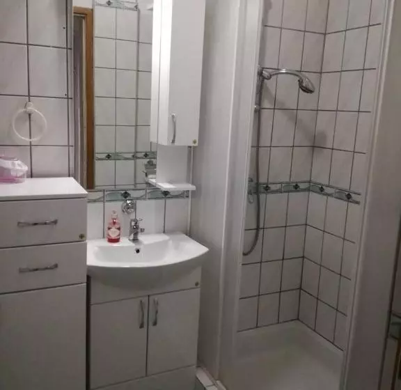 هاستل Prenociste Orhideja