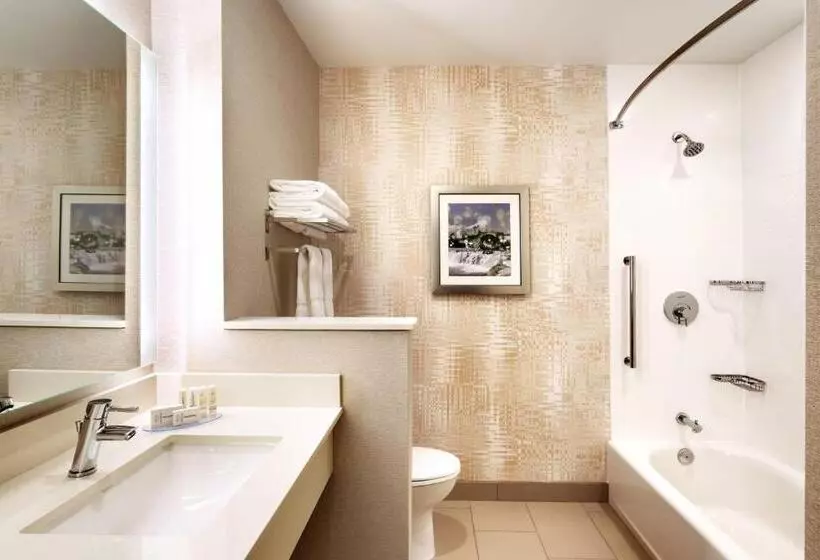 ホテル Fairfield Inn & Suites By Marriott Springfield North