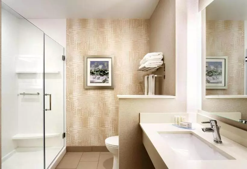ホテル Fairfield Inn & Suites By Marriott Springfield North