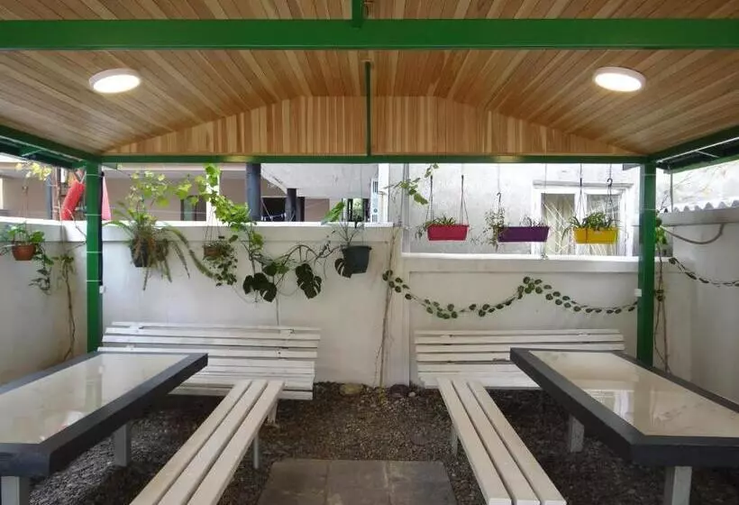 پانسیون Festina Lente