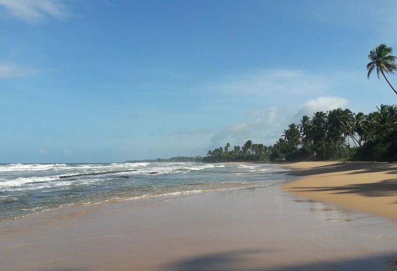 פנסיון Leatherback Beach Villa