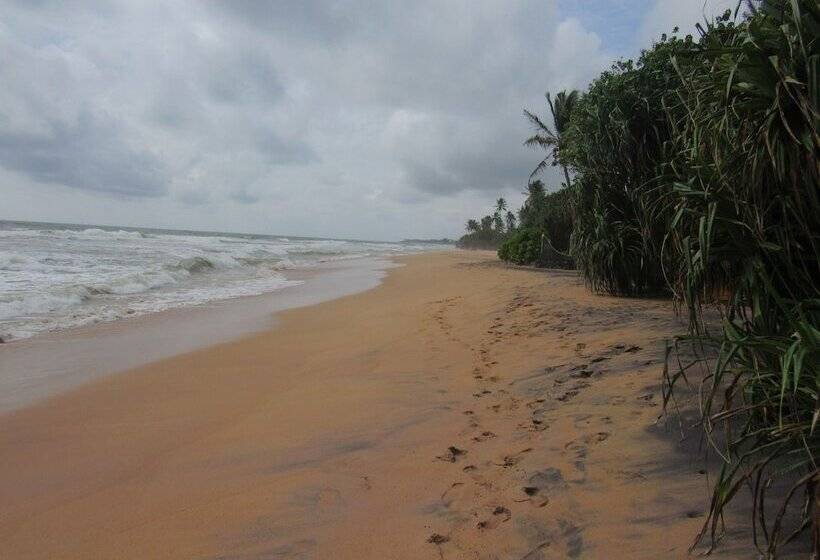 פנסיון Leatherback Beach Villa