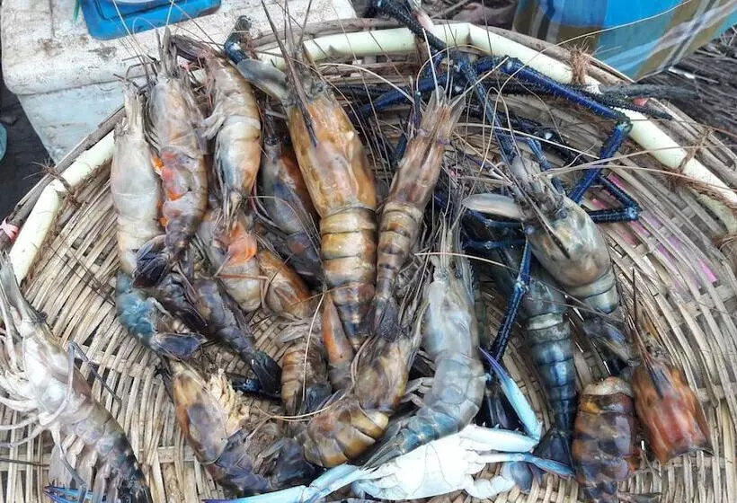 Majatalo Leatherback Beach Villa