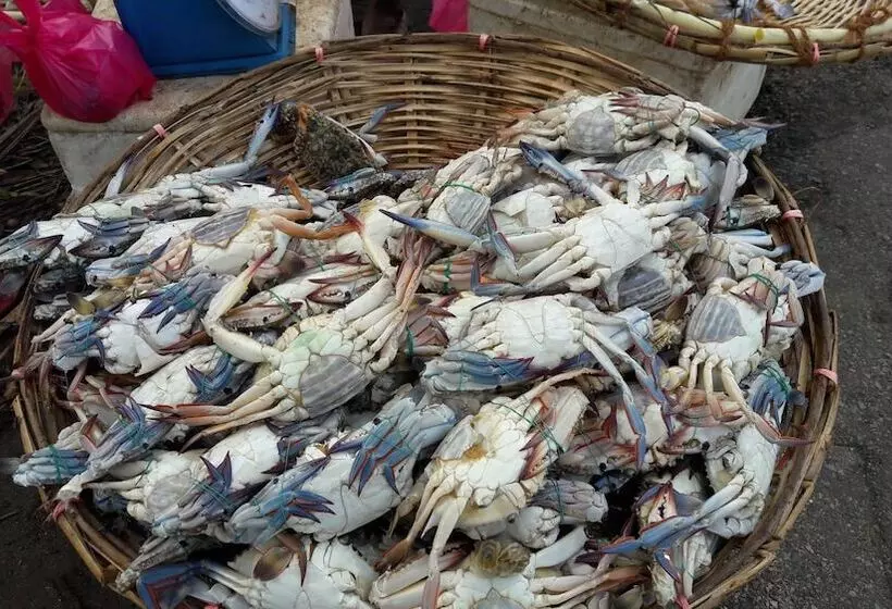 Majatalo Leatherback Beach Villa