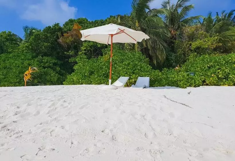 پانسیون Nemo Inn