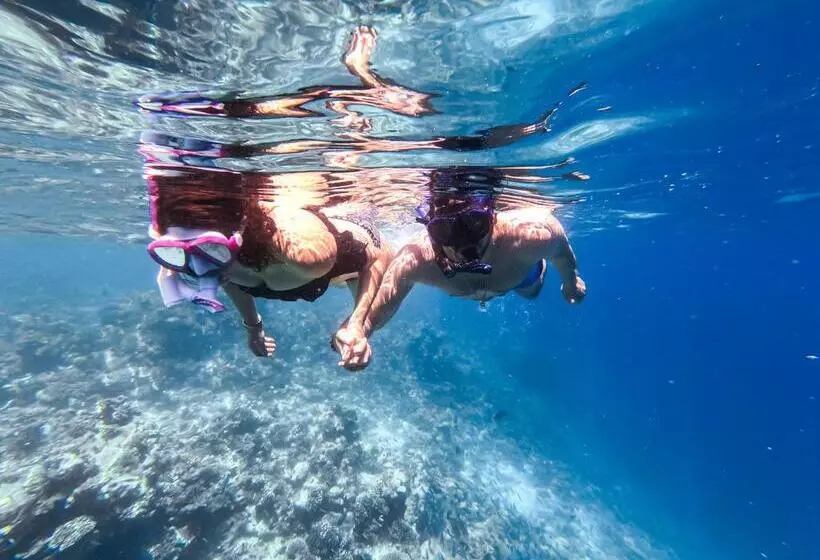 پانسیون Nemo Inn