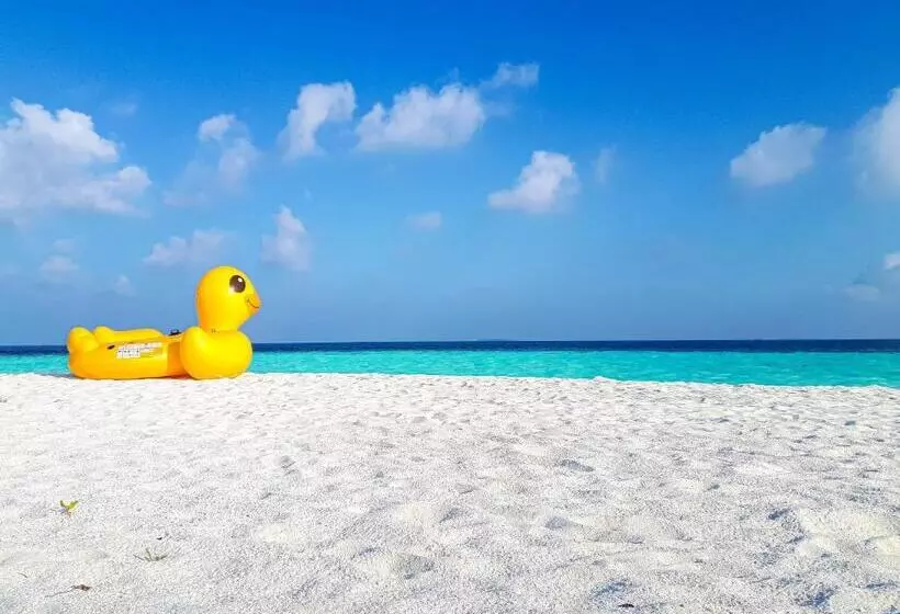 پانسیون Nemo Inn