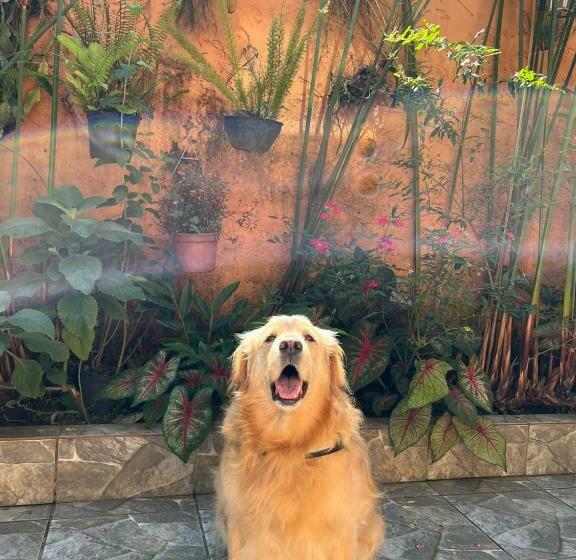 پانسیون Pousada Vieira