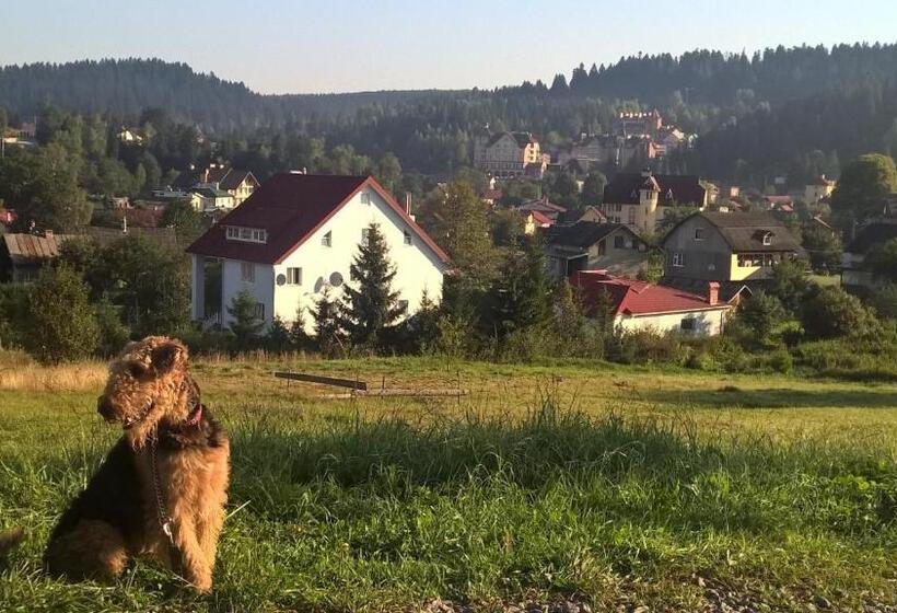 ユースホステル Mini Hotel Furmi