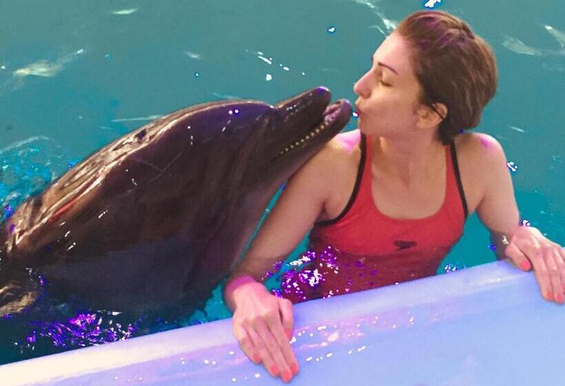 ユースホステル Mini Hotel Furmi