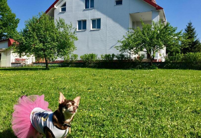 ユースホステル Mini Hotel Furmi