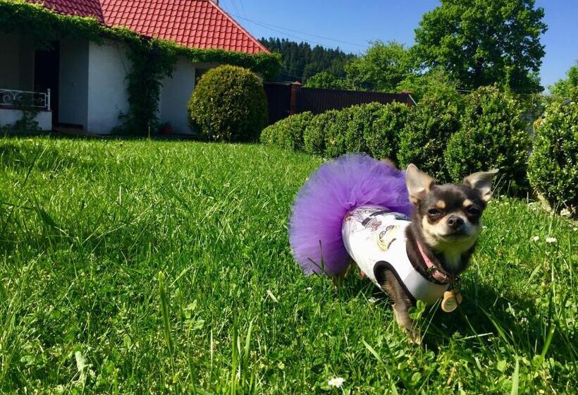 ユースホステル Mini Hotel Furmi