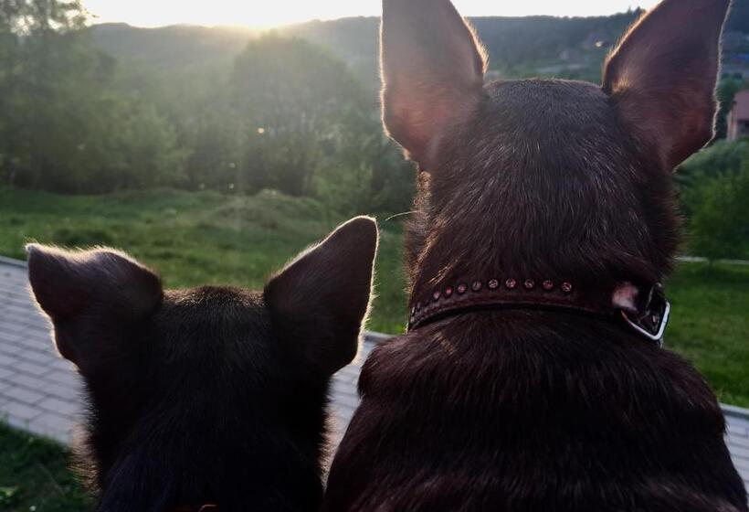 ユースホステル Mini Hotel Furmi