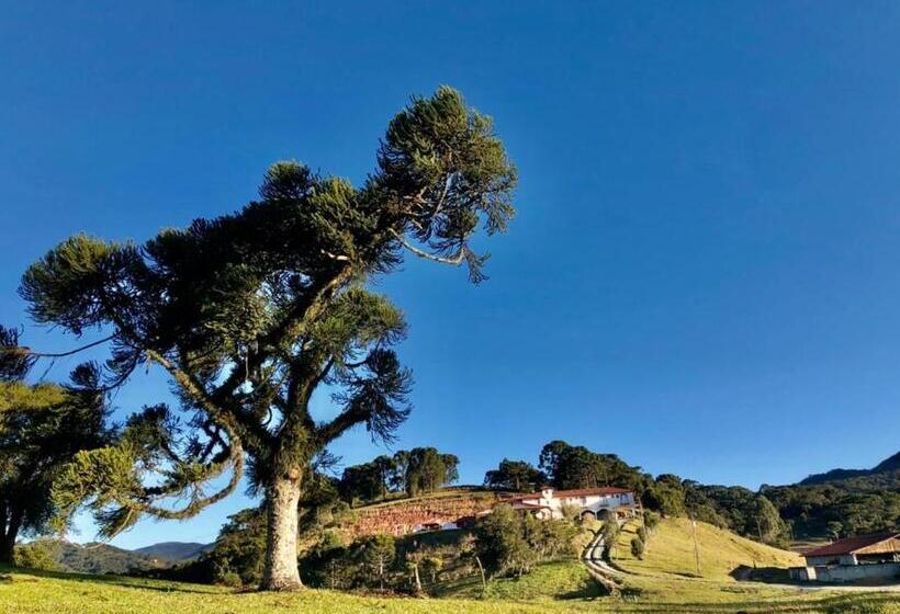 بنسيون Pousada Fazenda Da Invernada