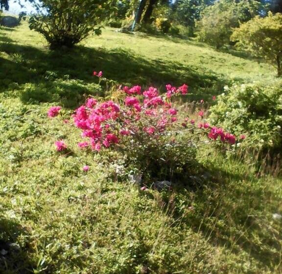 پانسیون Shotover Gardens Estate