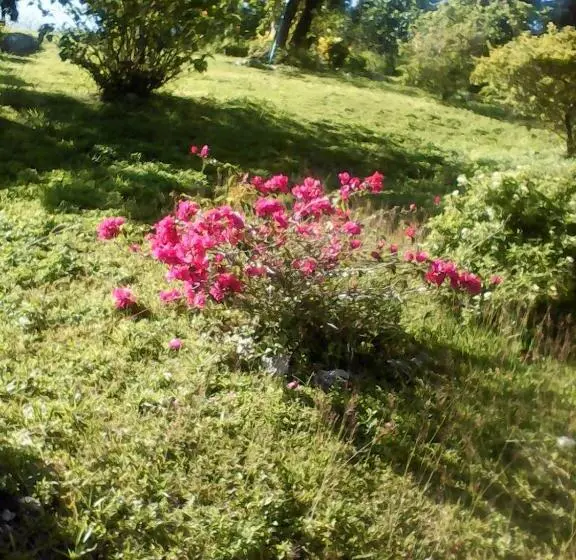 پانسیون Shotover Gardens Estate