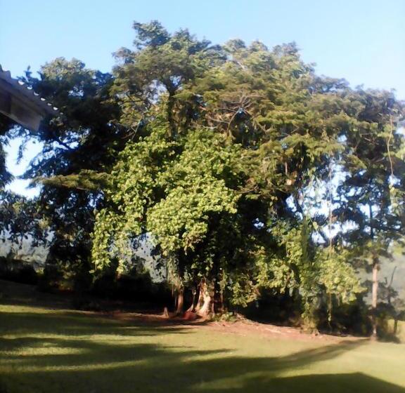 پانسیون Shotover Gardens Estate