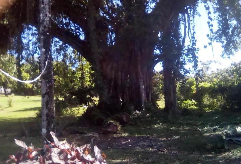 پانسیون Shotover Gardens Estate