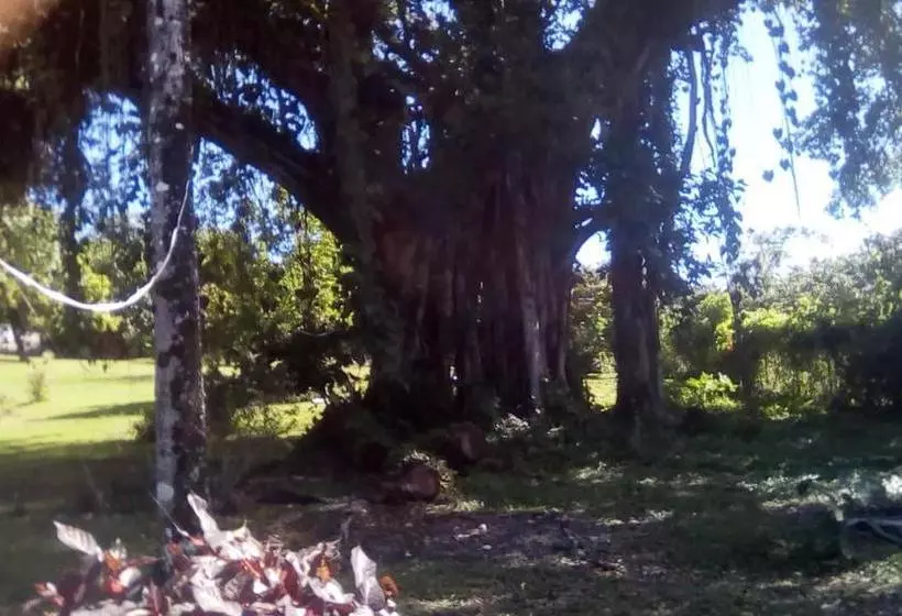 پانسیون Shotover Gardens Estate